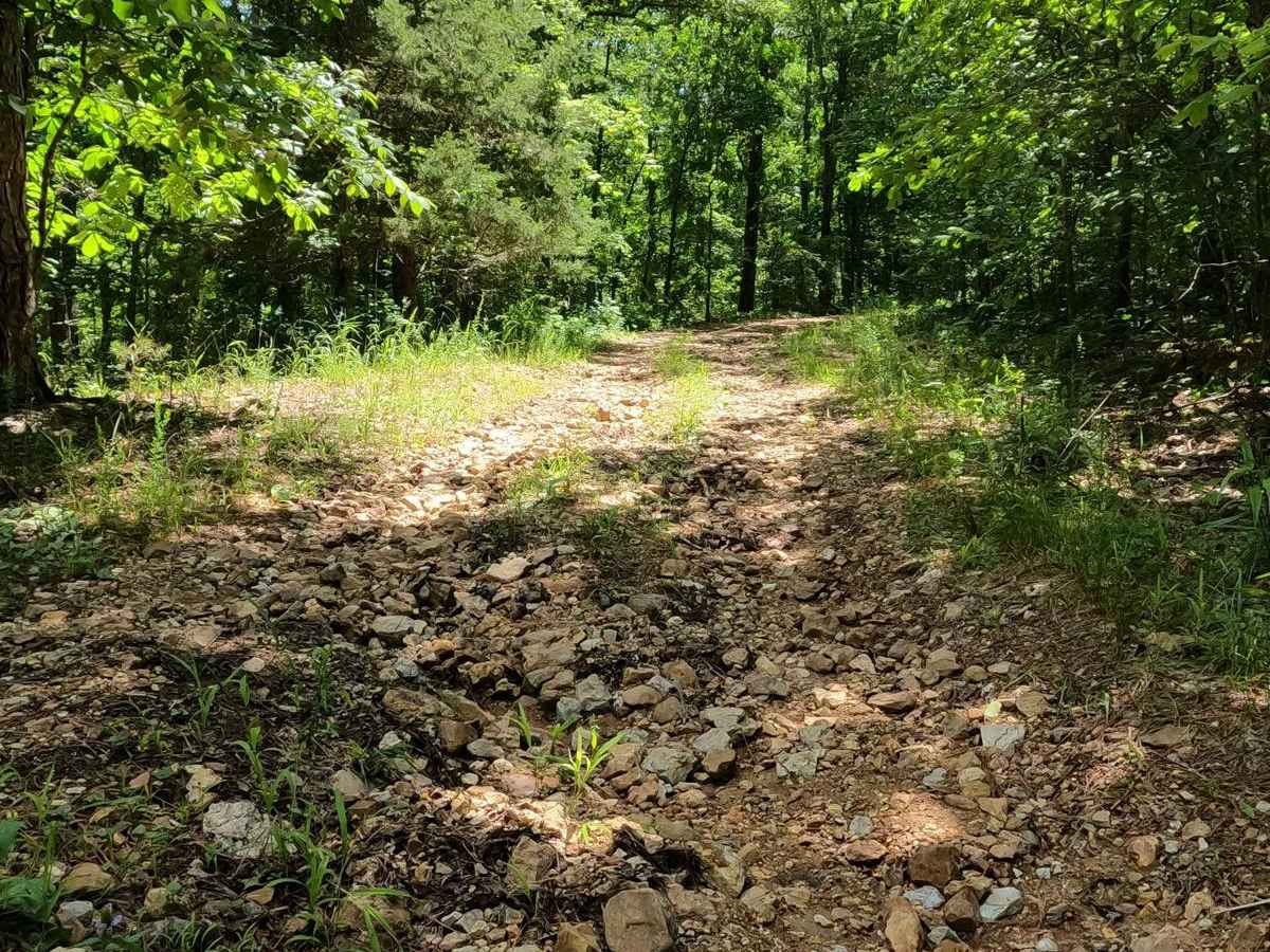 Reader Hollow FSR 2155 photo 2