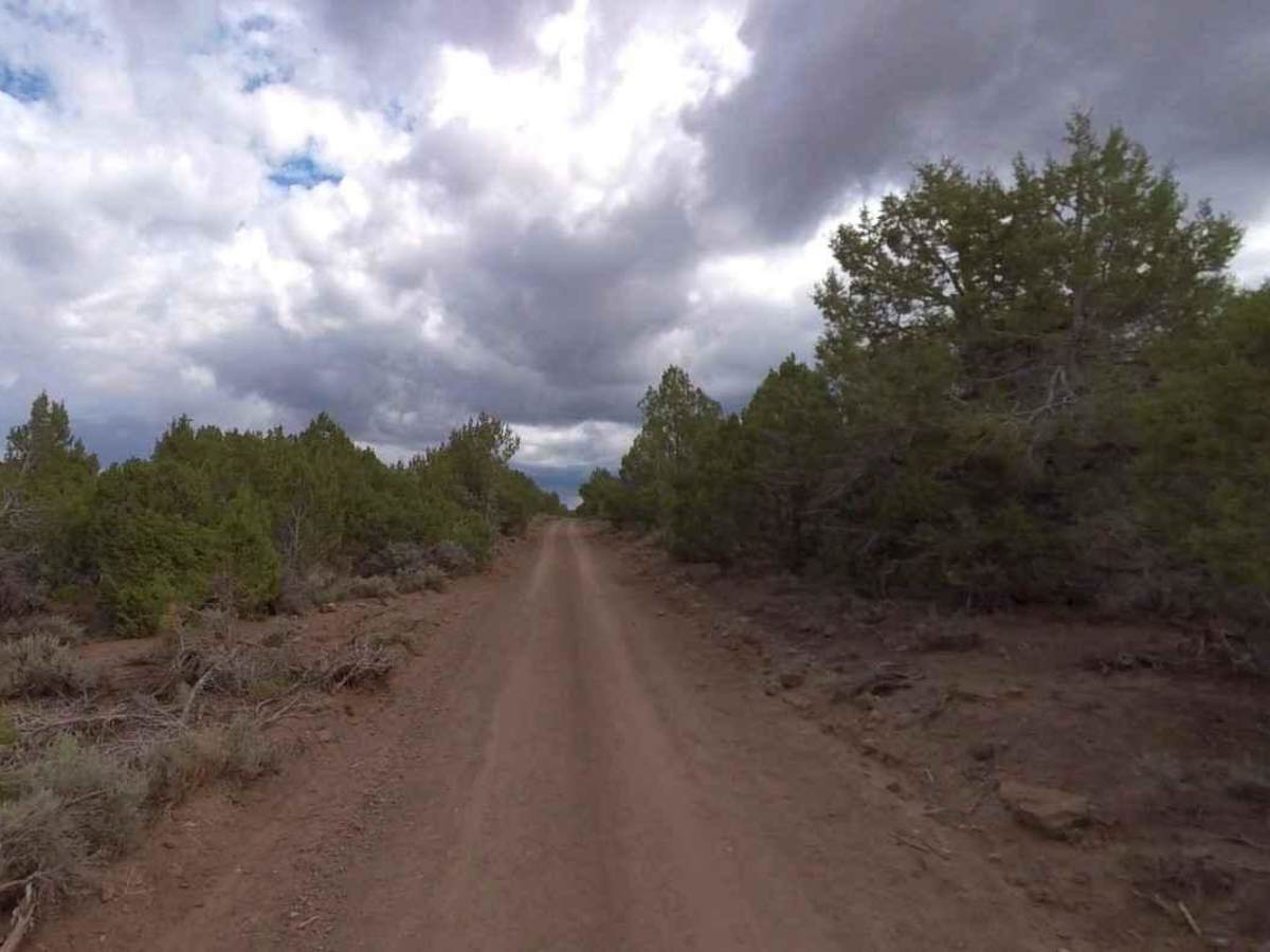 Lost Creek Rex Reservoir- FS 40053 photo 6