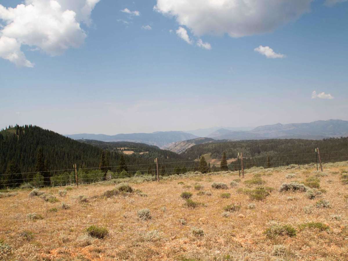 Red Spur photo 4