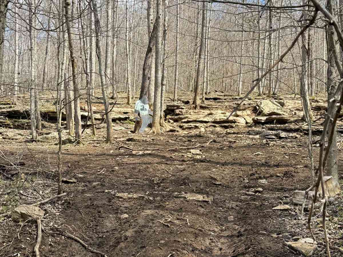 Trail 21 photo 4