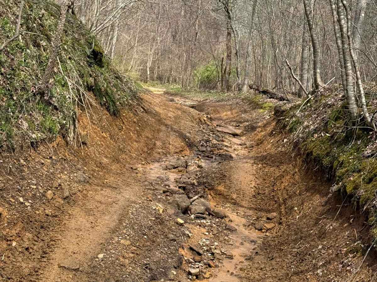 Trail 21 photo 3