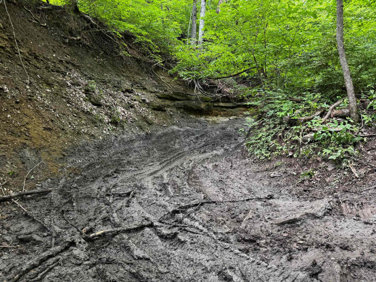 Rattleback 80 photo 5