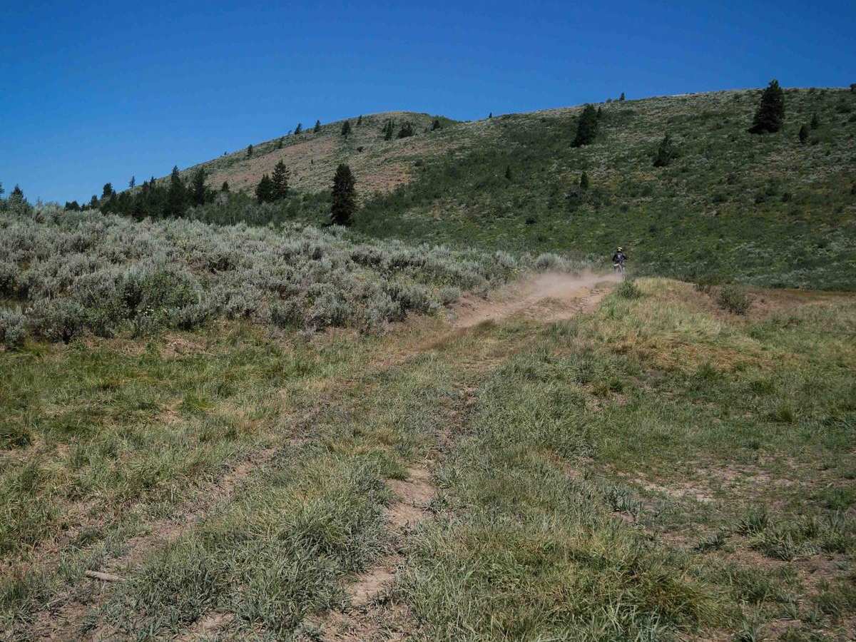North Sulfur- Sulfur Johnson #5244 photo 6