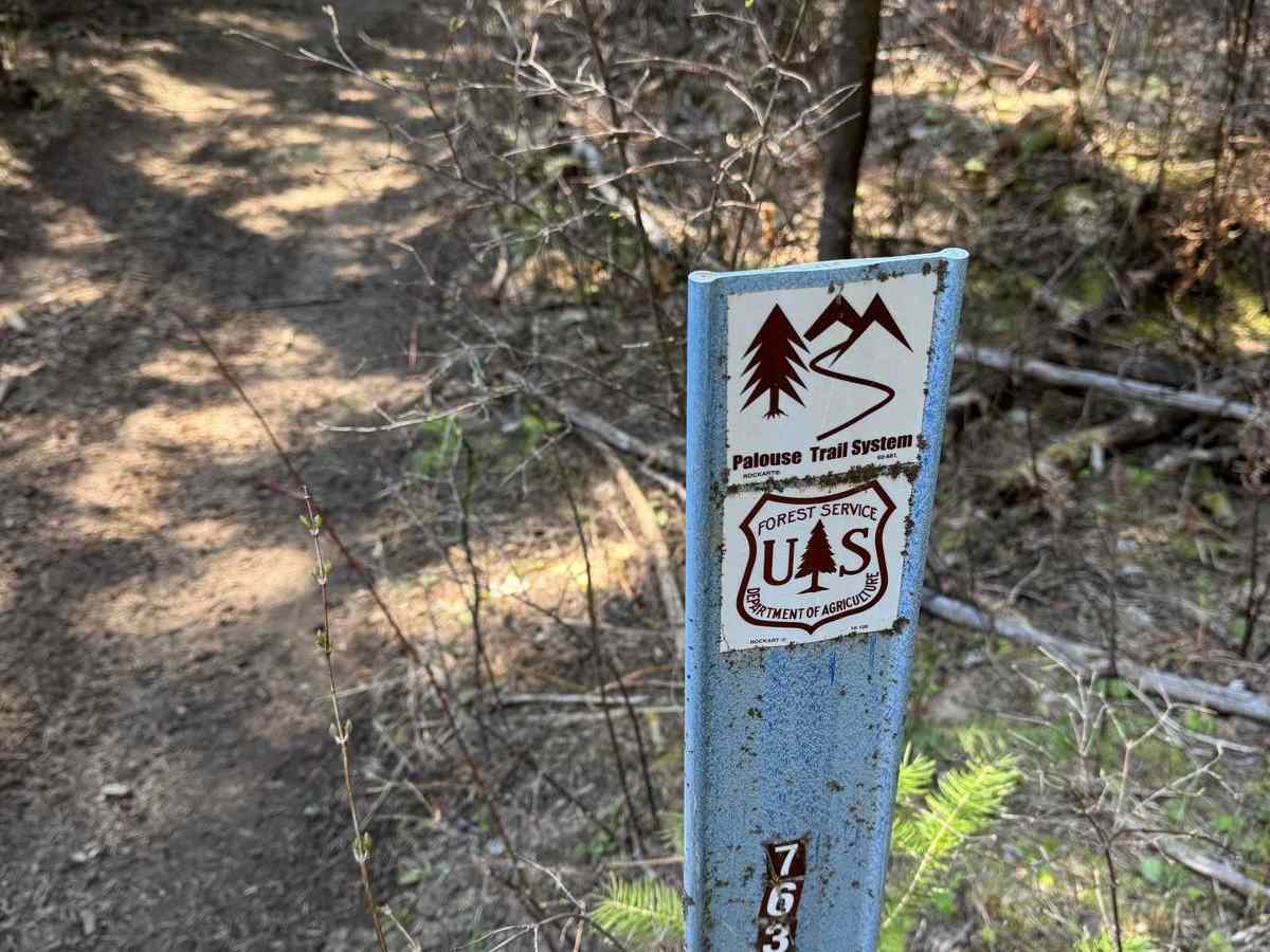 East Fork Gold Creek Trail 763 photo 3