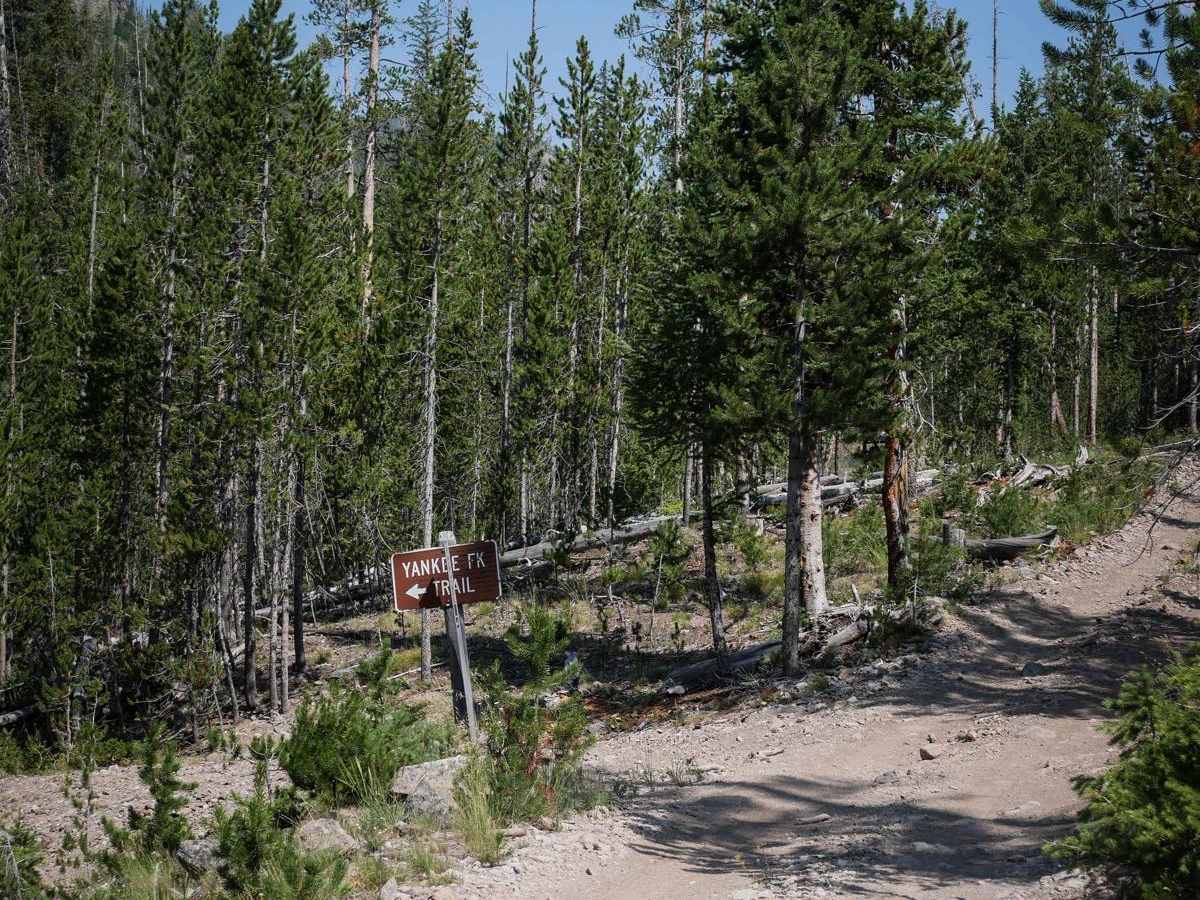 Challis Creek Lakes photo 5