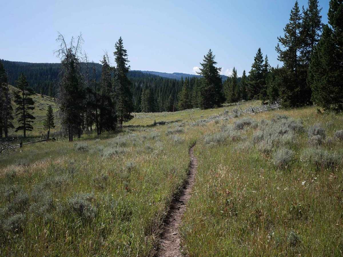 Wapiti Creek photo 2