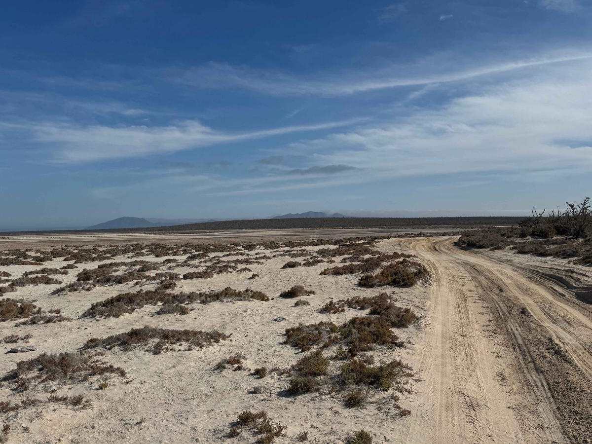 Inlet Loop photo 6