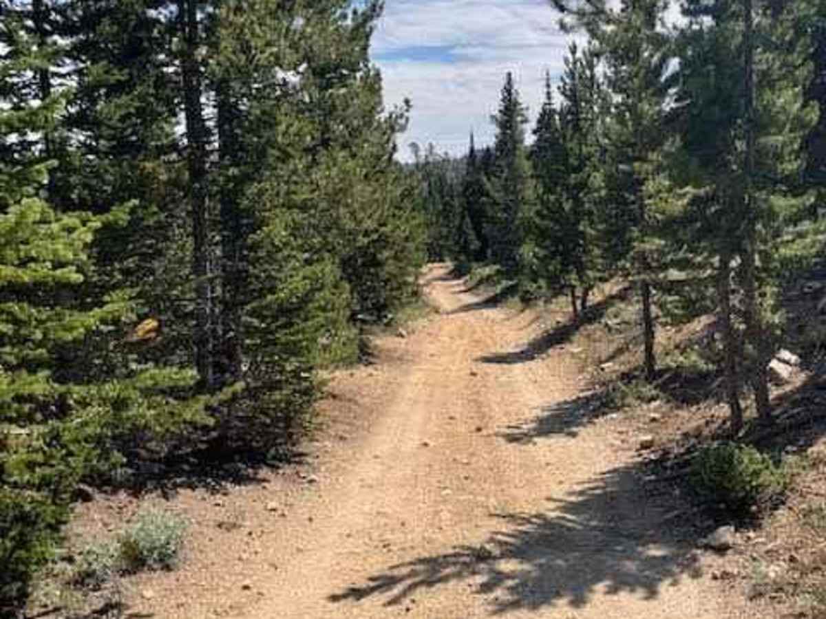 Lookout Mountain Road photo 5