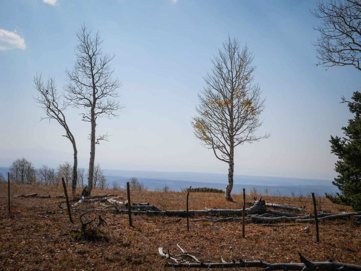 Rim ATV Trail photo 3