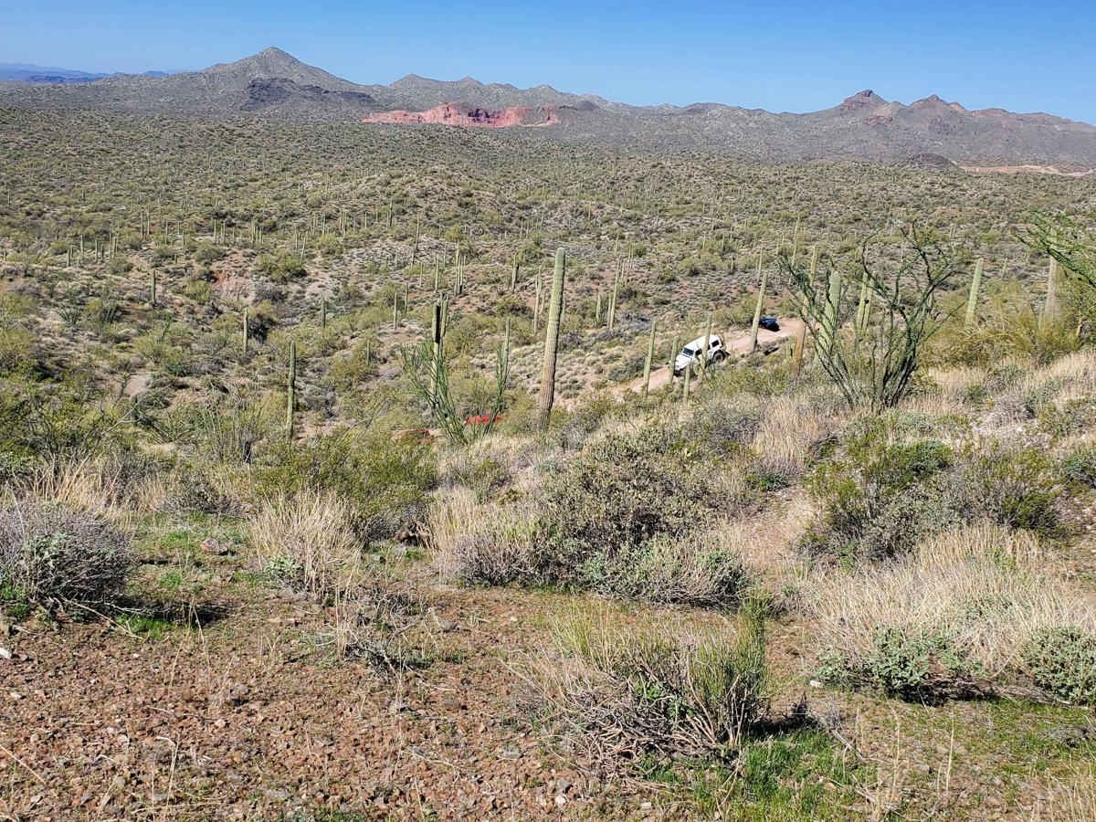 Hieroglyphic Mountain Loop photo 5