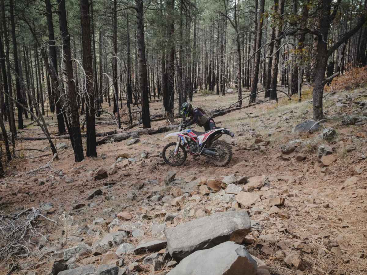 Rock Rut photo 4