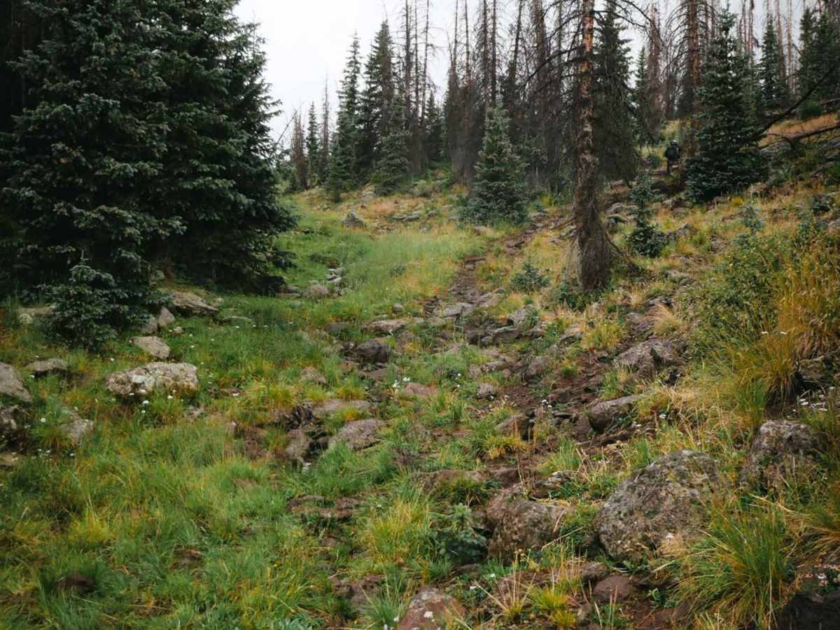 Willow Mountain Trail photo 4