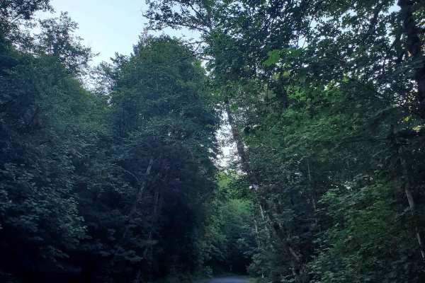 Salmon River Hiking Trail 2618000