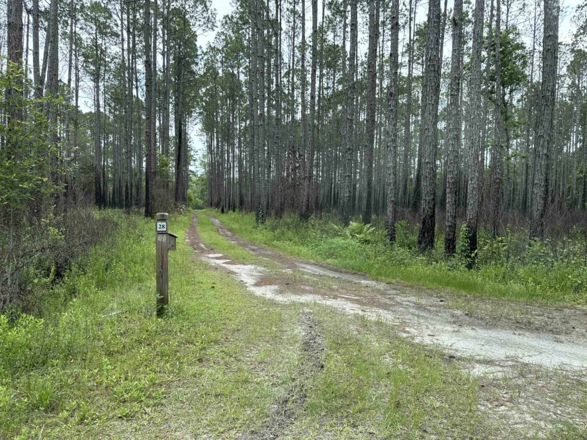 Camp Loop Road photo 3