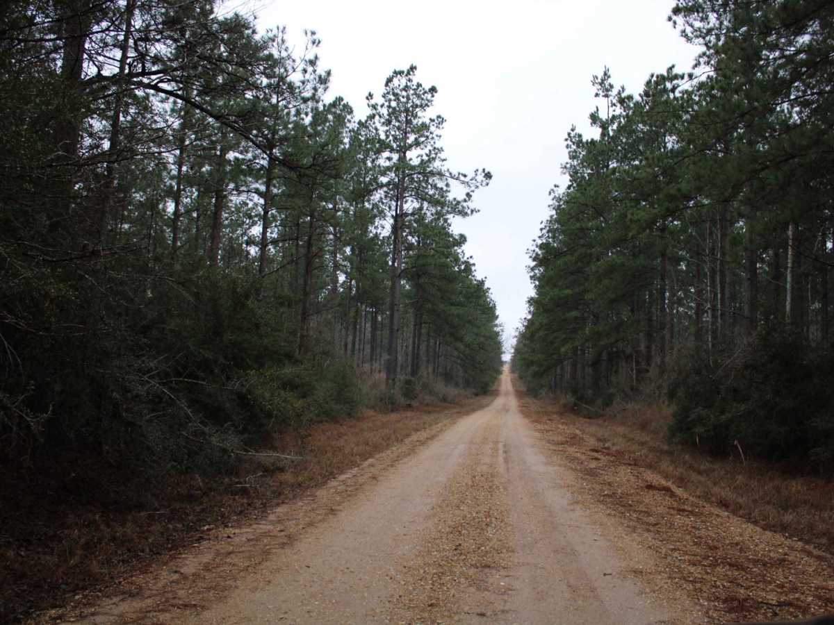 Dickerson Road (522) photo 6