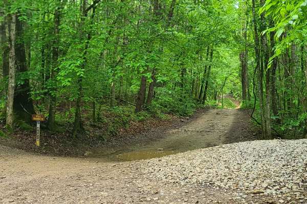 Stell Branch Trail - Trail 11