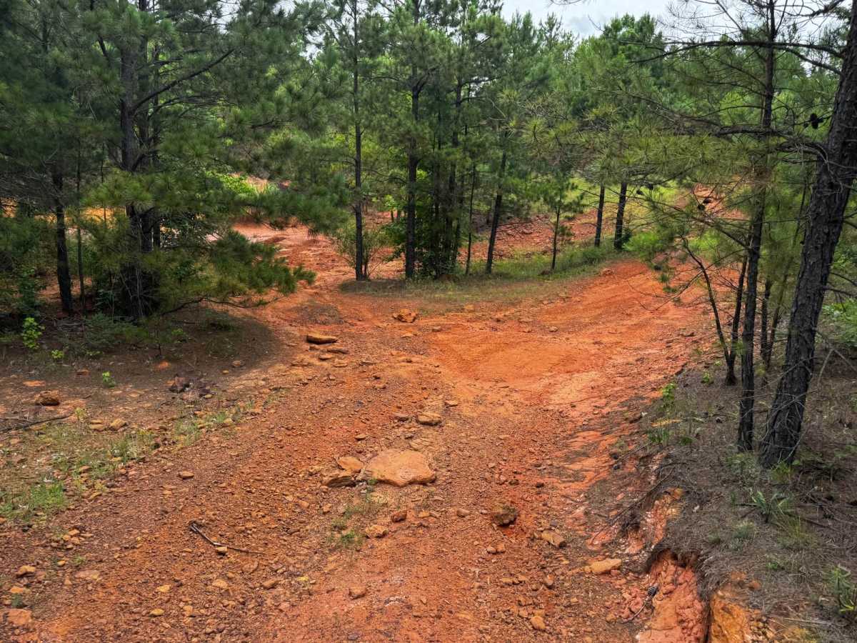 Sidewinder  trail photo