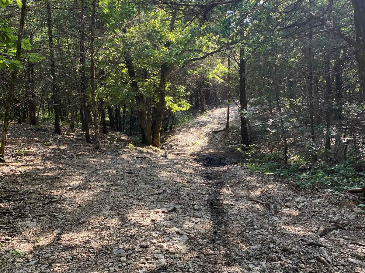 Starkey's Loop photo 2
