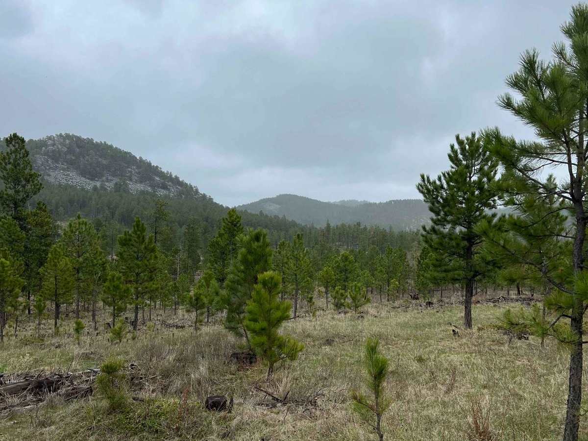 Crystal Mount Single Track photo 5