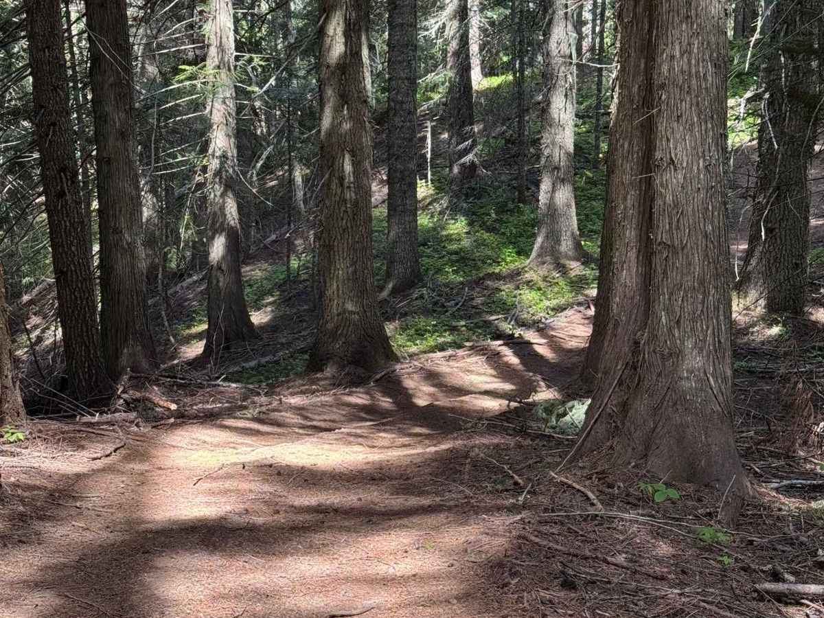 Partridge Creek OHV Trail 8290 photo 5