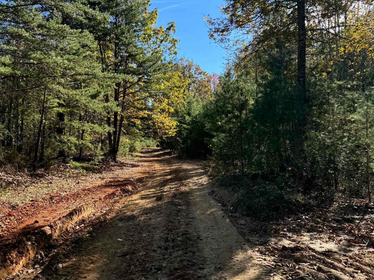 #81 Ridgeline Trail photo 3