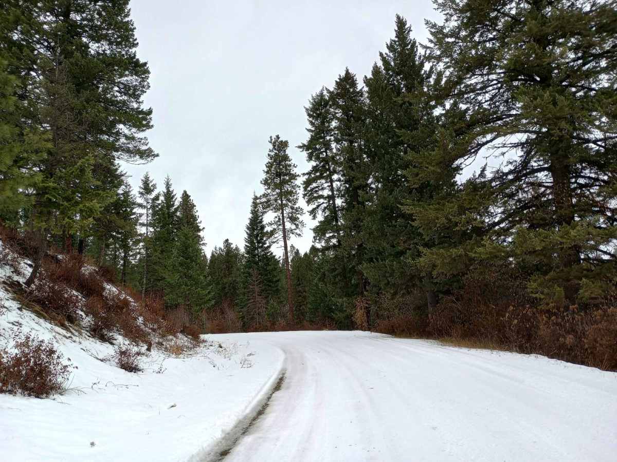 Blue Creek (499) photo 4