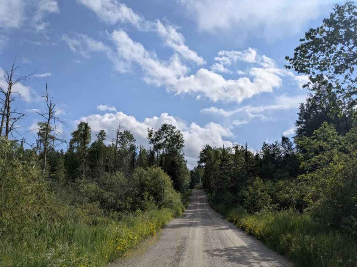 County Road 361 photo 6