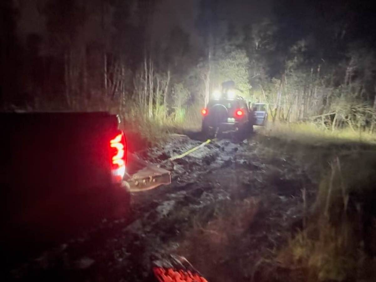 Tamiami Trails photo 3