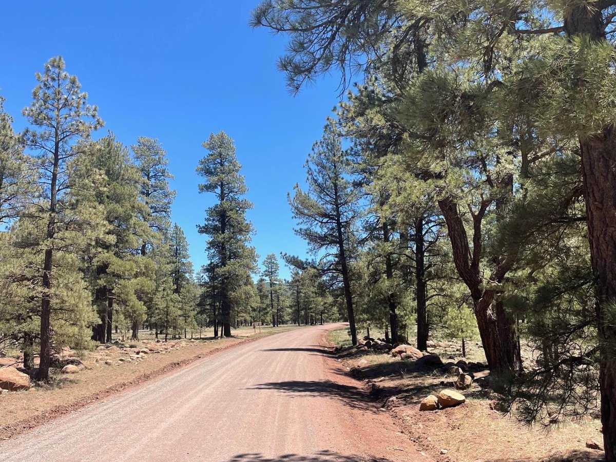 Stoneman Lake Road photo 2