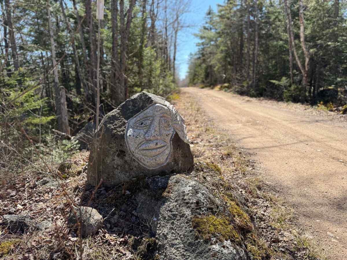 Route 95 trail photo