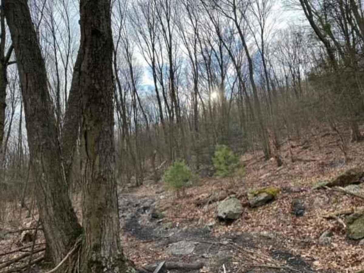 Tower City 11 trail photo