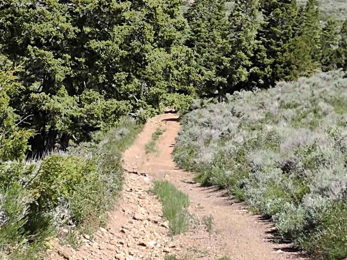 Sheepherder's Park (FS# 41080) photo 4
