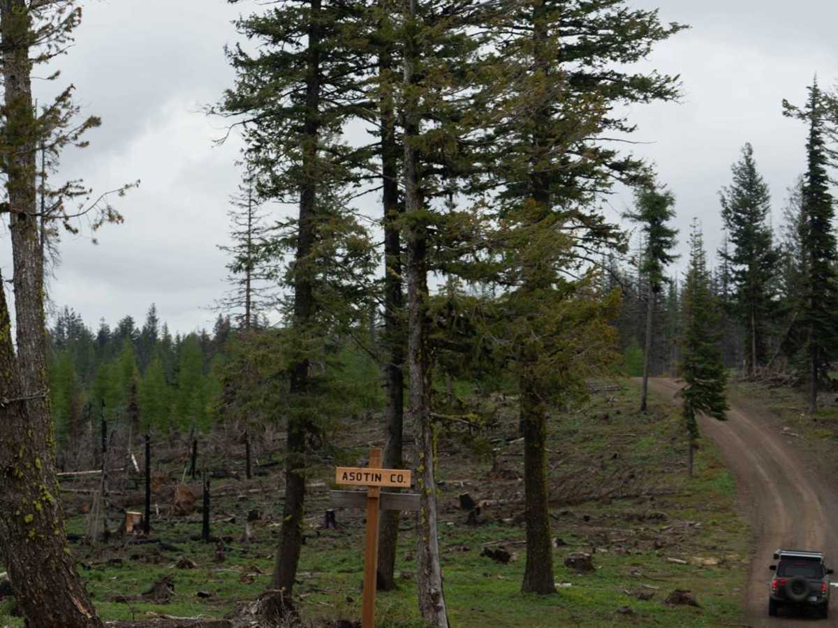 Coleman Road photo 4
