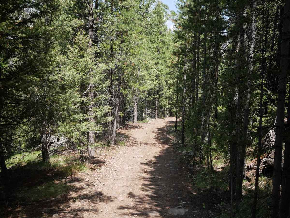 Leg Creek ATV photo 3