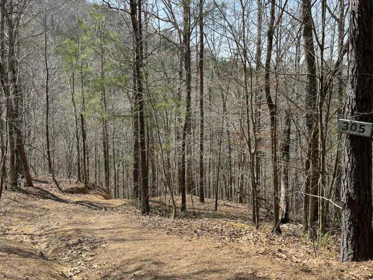 305 trail photo