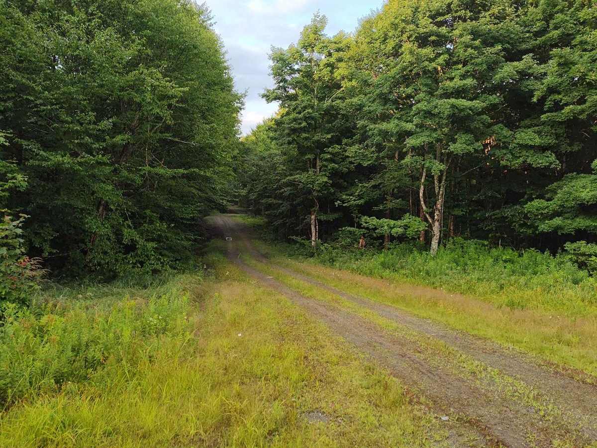 Meadow Brook Rd to Hawk Road photo 5