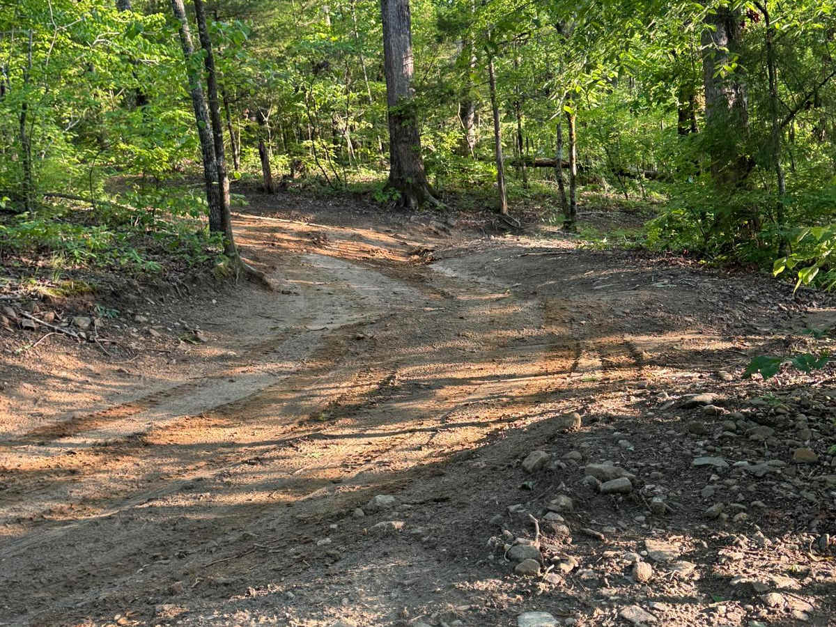 Clemson/Oak Cutoff trail photo