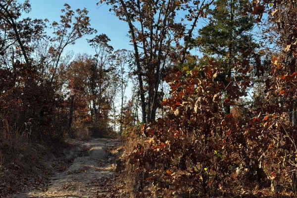 Loggers Trail / Heavens Stairs Connection