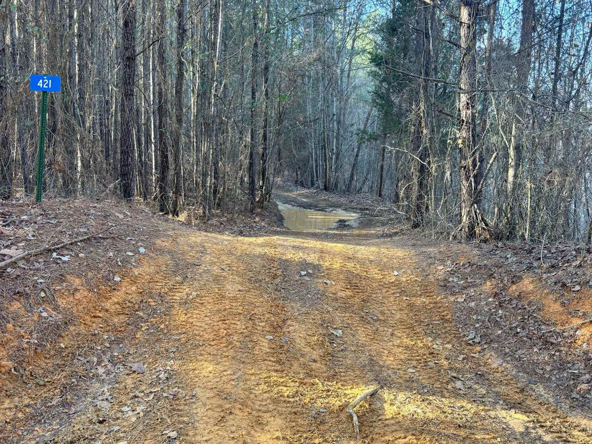 421 trail photo
