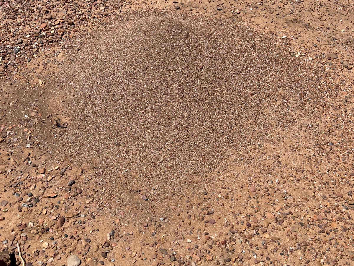 Antelope Shortcut photo 5