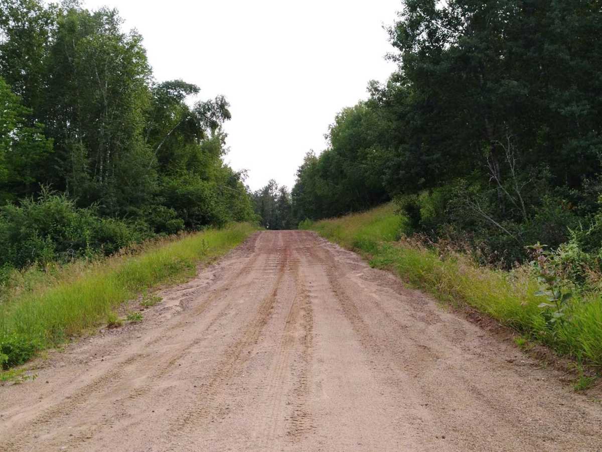 Pikus Forest Road / County Road 58 photo 5