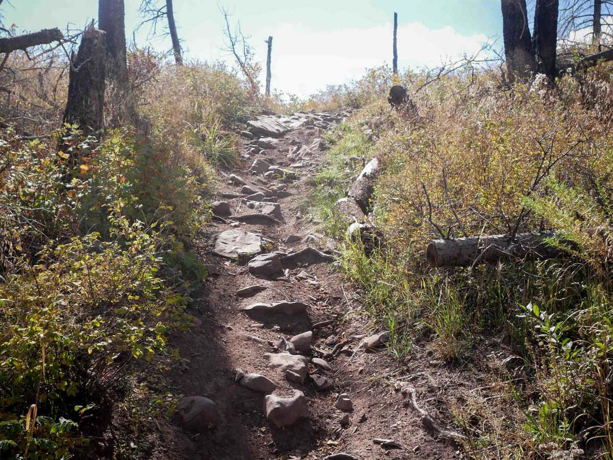 Pinkerton--Flagstaff photo 4