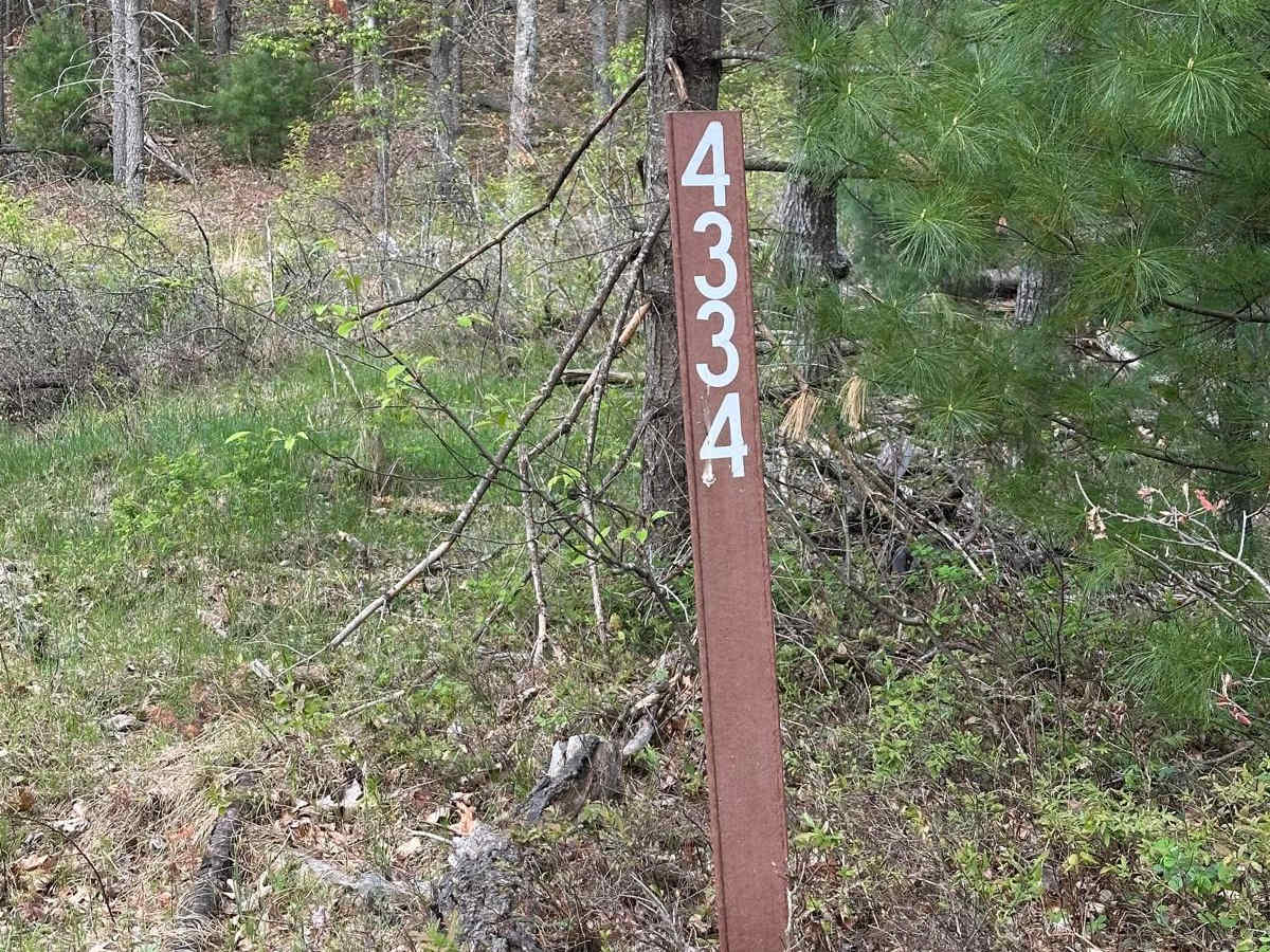 FS 4334 trail photo