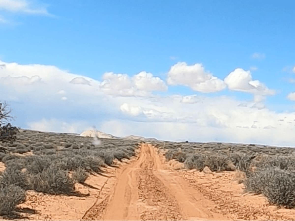 Route D1477 photo 4