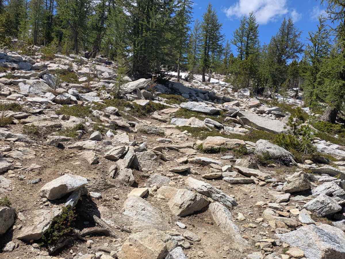 Ward Mountain photo 5