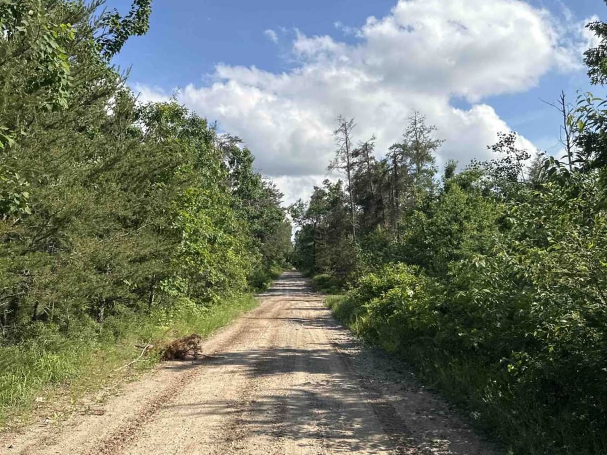 Elk Road photo 2