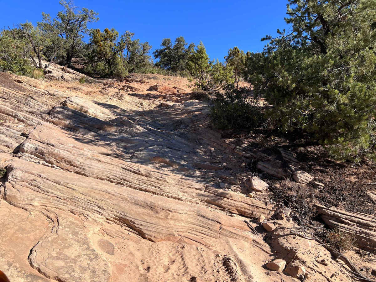 Hog Canyon 6 - Savage Point (BLM HC6/6A) photo 5