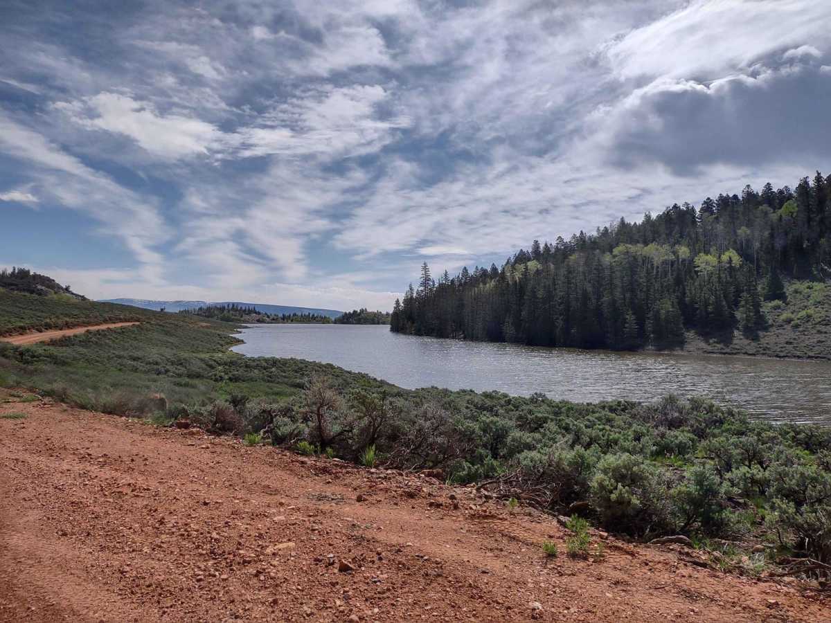 Monroe Mtn Road to Upper Box Creek Reservoir (FS# 40068) trail photo