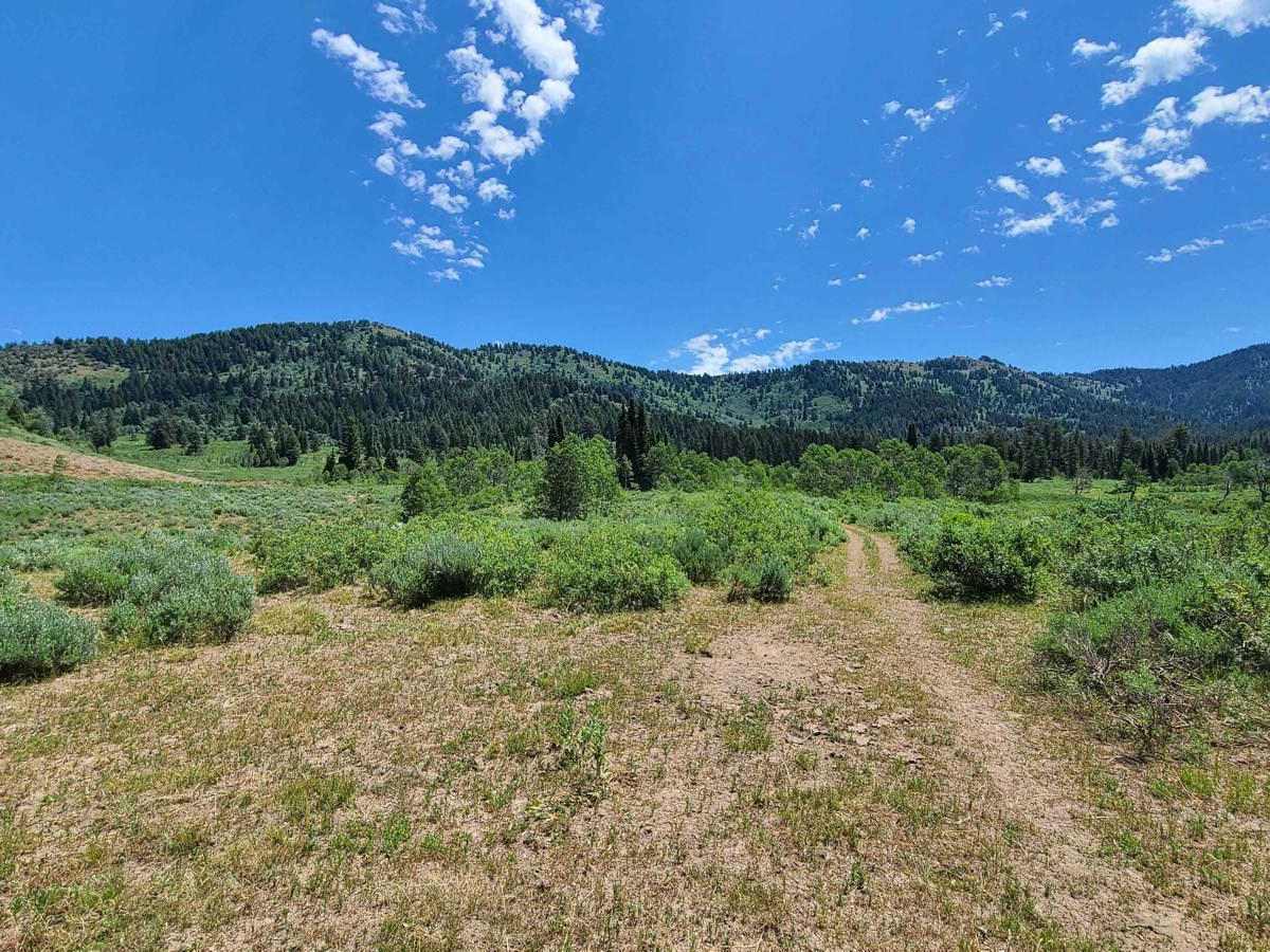 Litz Basin photo 5