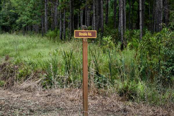 Bonneau Ferry WMA - Wetland Access